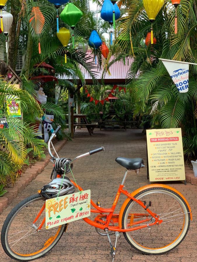 Tropic Days Boutique Hostel Cairns Zewnętrze zdjęcie